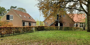 IIS